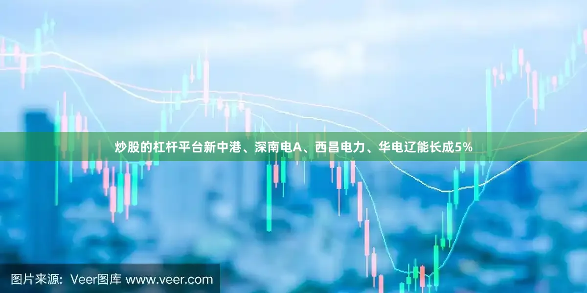 炒股的杠杆平台新中港、深南电A、西昌电力、华电辽能长成5%