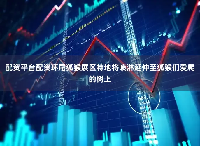 配资平台配资环尾狐猴展区特地将喷淋延伸至狐猴们爱爬的树上