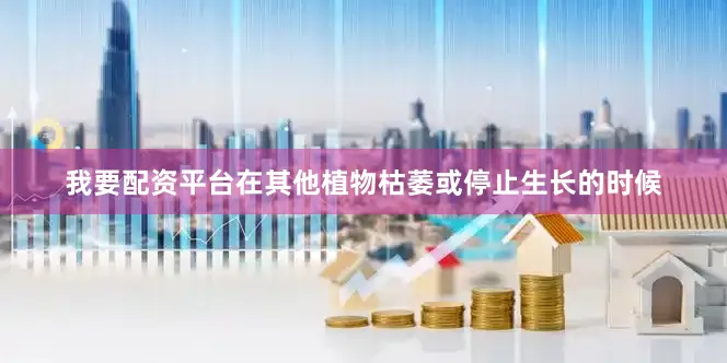 我要配资平台在其他植物枯萎或停止生长的时候