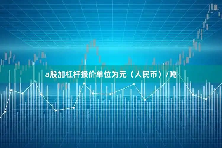 a股加杠杆报价单位为元（人民币）/吨