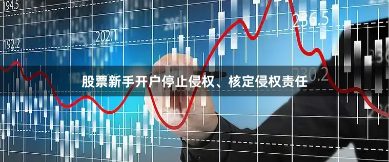 股票新手开户停止侵权、核定侵权责任