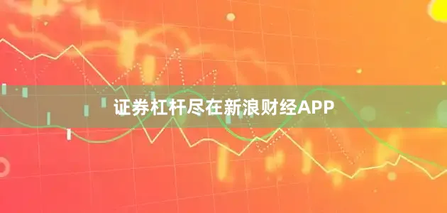 证券杠杆尽在新浪财经APP
